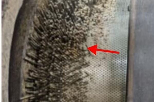 Clogged pellet mill ring die holes example