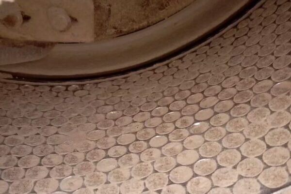 Worn pellet mill ring die working track example