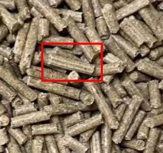 Normal pellet surface vs scratched pellet surface