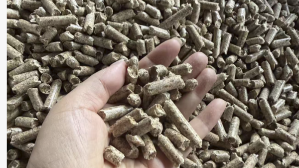 Hayne European pellet industry journey and customer visits